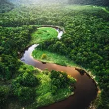 ComunidadAdopta Adopta un arbol