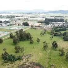 ComunidadAdopta Adopta un arbol