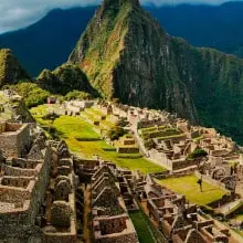 ComunidadAdopta Adopta un arbol