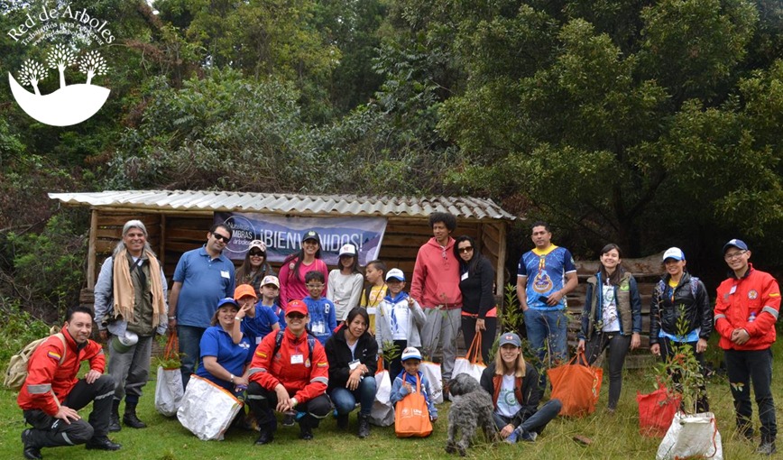 tree-planting-activity