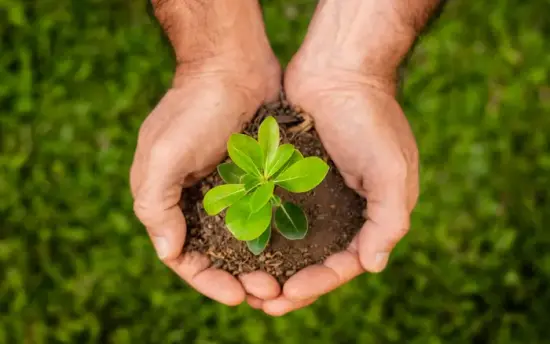 Responsabilidad medioambiental en Perú