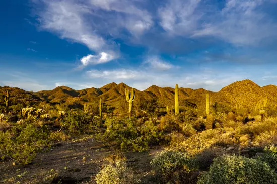 ¿Cómo cuidar del medio ambiente?