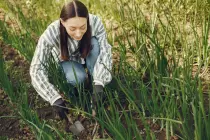 5 strategies for the improvement of green areas 5 strategies for the improvement of green areas