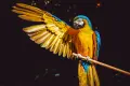 The Importance Of Forests and Biodiversity In Colombia The Importance Of Forests and Biodiversity In Colombia