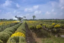 What does forest monitoring consist of? What does forest monitoring consist of?