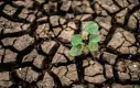 Responsabilidad social ambiental en América latina Responsabilidad social ambiental en América latina
