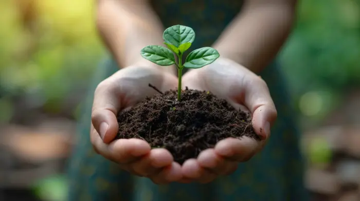 Organizaciones que protegen el medio ambiente en Colombia Organizaciones que protegen el medio ambiente en Colombia