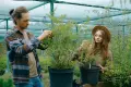 Advantages of optimal monitoring of planted trees Advantages of optimal monitoring of planted trees