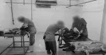 La Crueldad Escondida en la Industria de la Moda La Crueldad Escondida en la Industria de la Moda